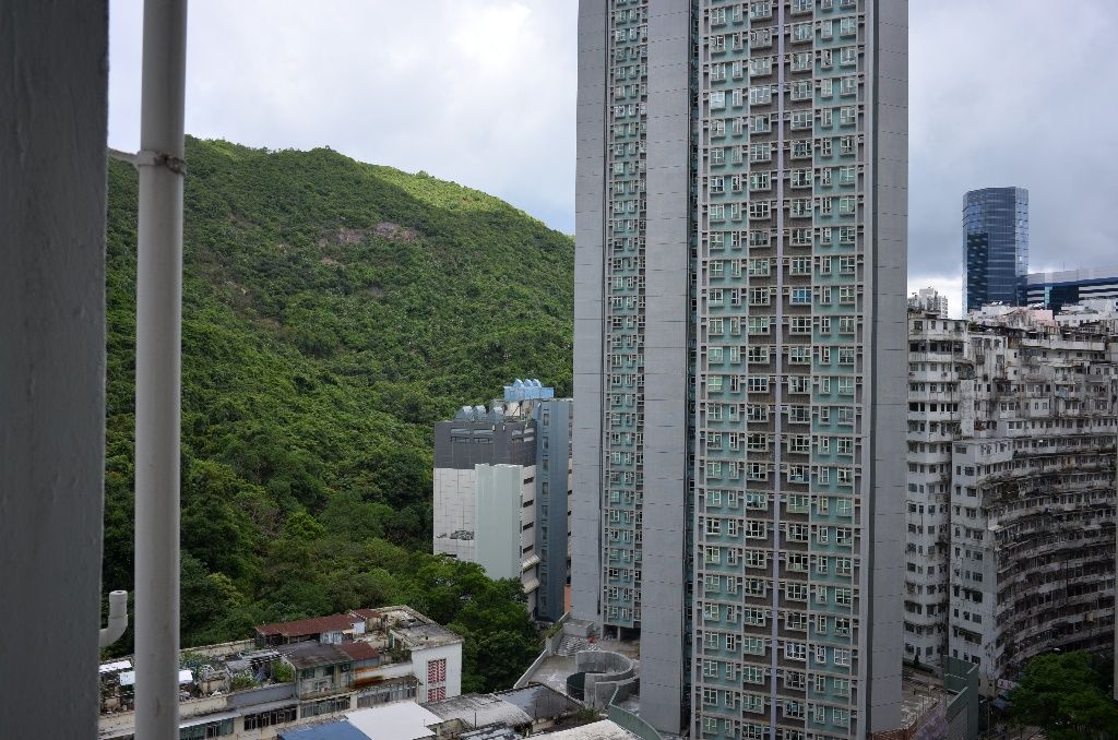 溫暖居室:享翠綠山景及熣爛夜景 - 太古/西灣河 - 住宅 (整間出租) - Homates 香港