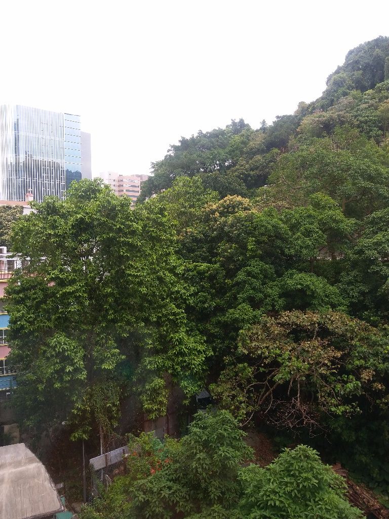 筲箕灣東大街靚裝修1房出租 - 筲箕灣 - 住宅 (整間出租) - Homates 香港