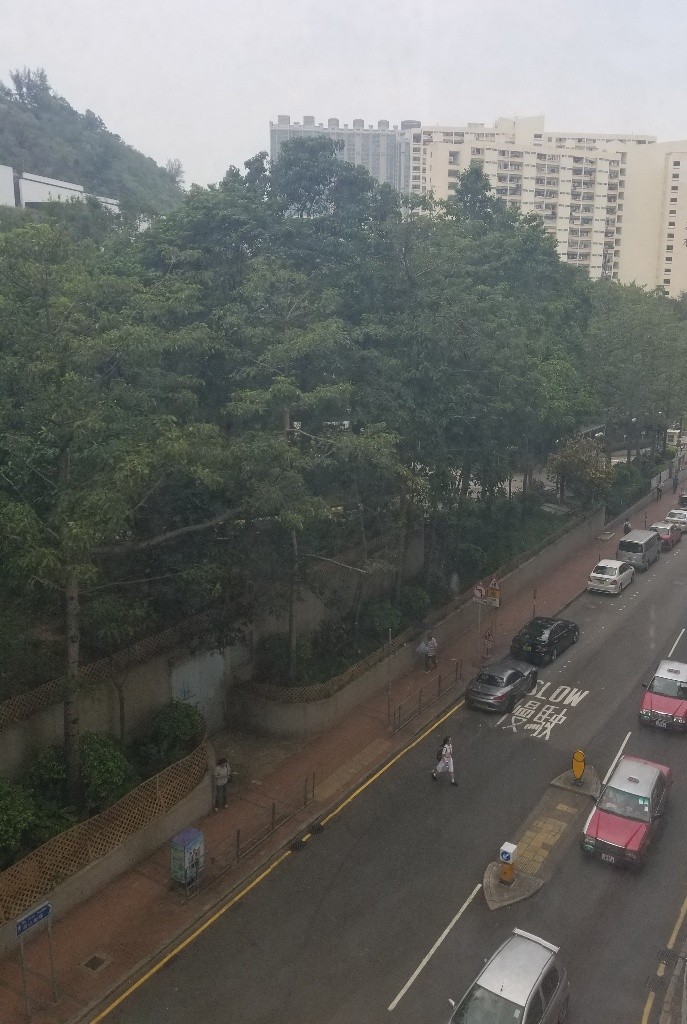 Spacious room with great greenery view - 土瓜灣 - 獨立套房 - Homates 香港