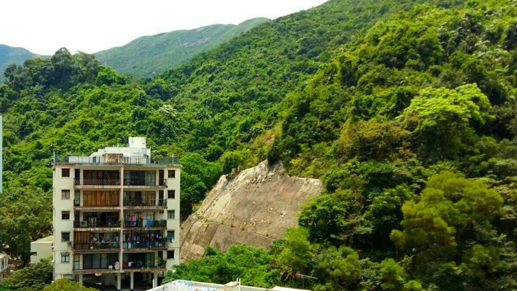 新裝兩房 開揚山景 毗鄰地鐵、太古坊 上班族首選 - 鰂魚涌 - 住宅 (整間出租) - Homates 香港