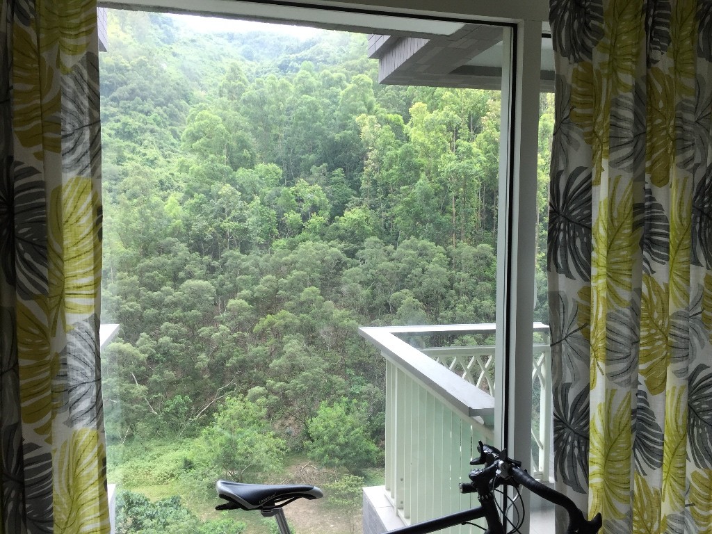 Grad new apartment, green and quiet view - 將軍澳 - 住宅 (整間出租) - Homates 香港