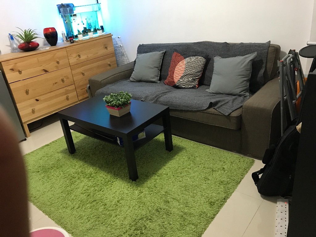 Looking for a Flat mate - 鲗鱼涌 - 房间 (合租／分租) - Homates 香港