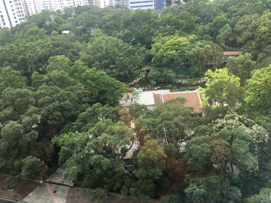 中層全園景(和黃公園)實用2房單位 - 紅磡/黃埔 - 住宅 (整間出租) - Homates 香港