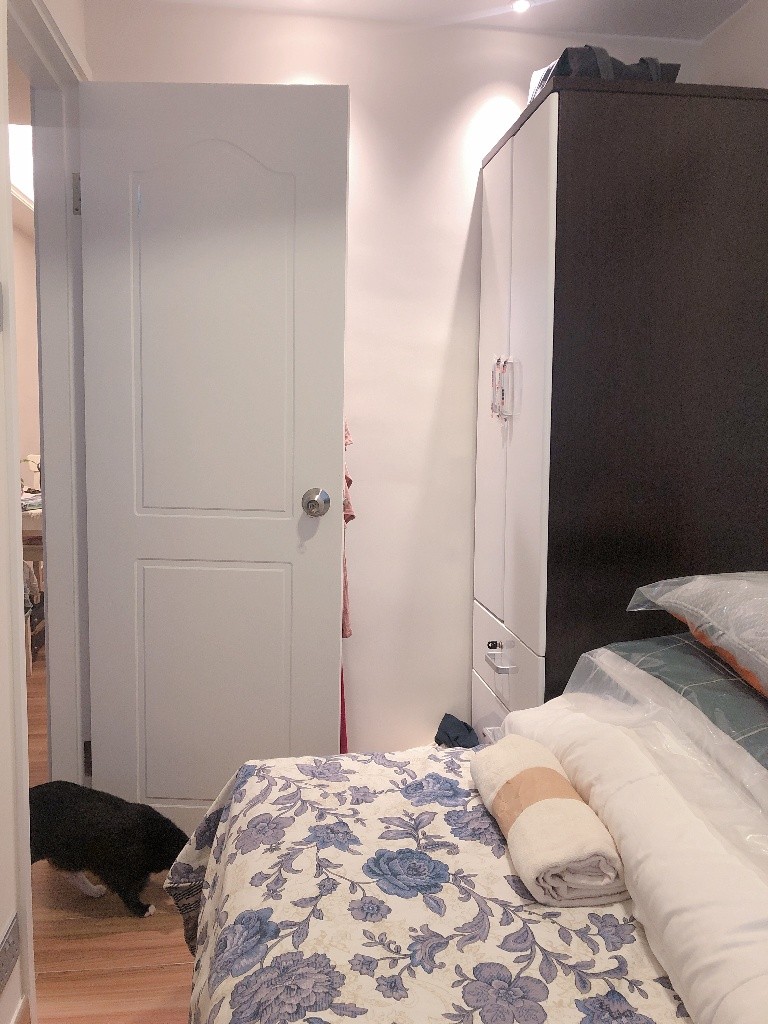 Cat Lovers Alert - Private Bedroom in Newly Renovated Flat - 土瓜灣 - 房間 (合租／分租) - Homates 香港