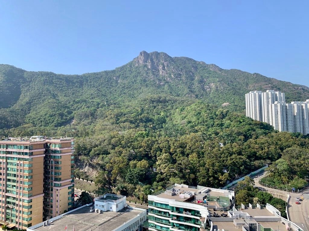 41校網九龍塘背山面海筍盤 Kowloon Tong Apartment with amazing views &amp; facilities out for rent  - 九龍塘 - 住宅 (整間出租) - Homates 香港