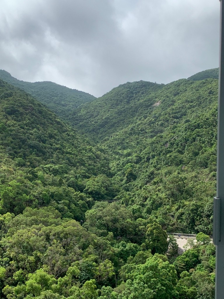 免佣向南山景傢私空調齊單單人房 - 沙田/火炭 - 房間 (合租／分租) - Homates 香港