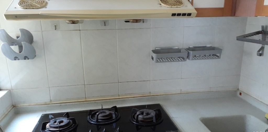 Special Offer, Large Sitting Room, 2B, 5m walk Ma On Shan MTR - 馬鞍山 - 住宅 (整間出租) - Homates 香港