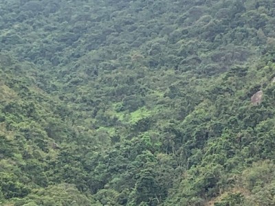 免佣金向南山景4窗高層整潔單人房 - 小瀝源路68號廣材苑C座高層