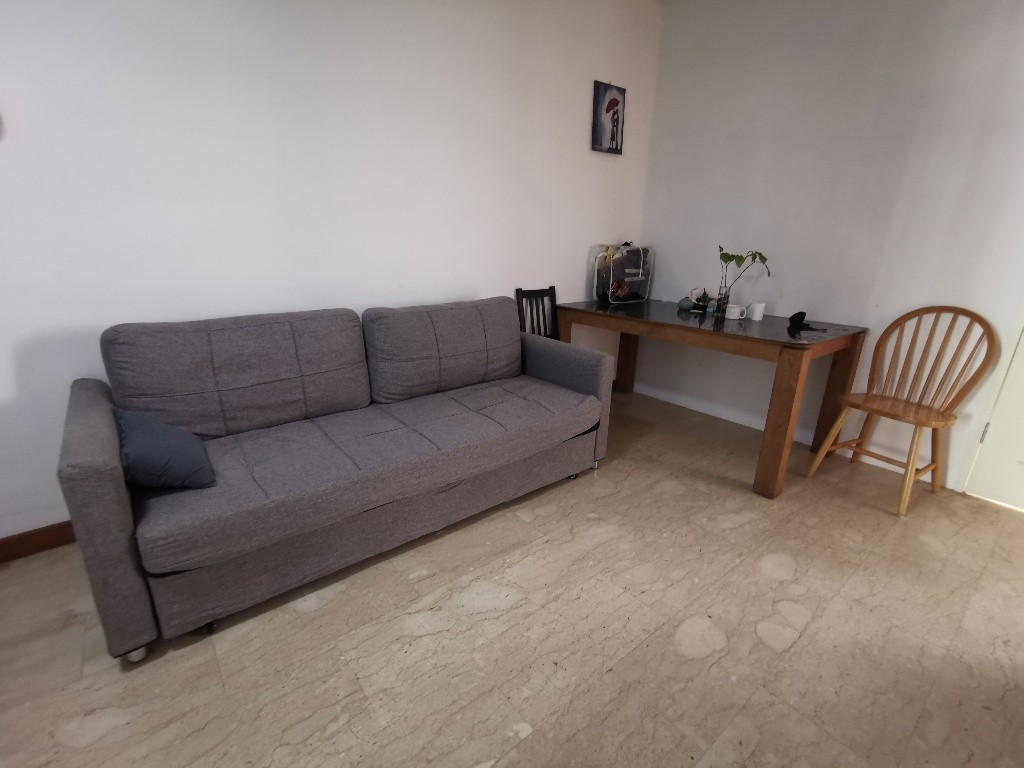Room for Rent / River Valley (Somerset MRT) / Common Room / 1 Pax Stay / Available Immediate - Orchard 烏節路 - 整個住家 - Homates 新加坡