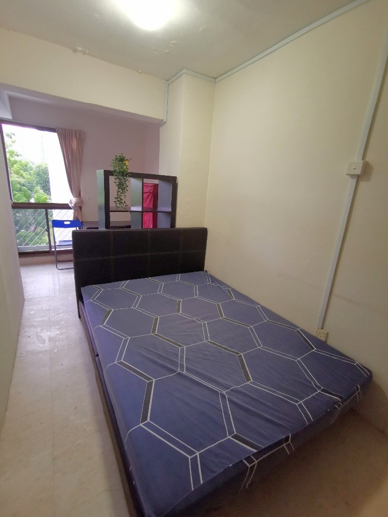 Common Room / Near Clementi, Dover &amp; Buona Vista MRT / 1 Pax Stay / Available 11 Oct / No Owner Stay - Bukit Merah 紅山 - 整個住家 - Homates 新加坡