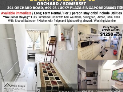 新加坡 -  - 304 Orchard Road, Singapore 238863