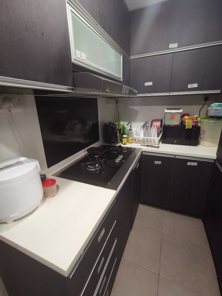 Room for rent / DHOBY GAUT / SOMERSET / Common room / 1-2pax stay / Available September 2 - Orchard 乌节路 - 整个住家 - Homates 新加坡