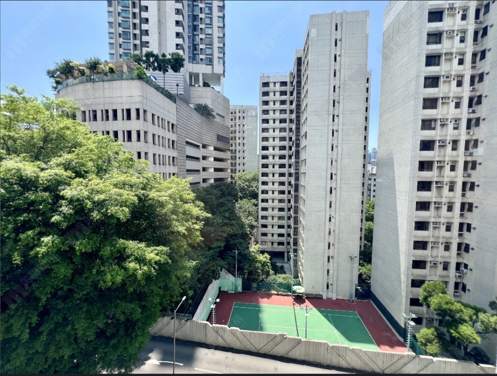 Serene room &amp; bathroom in 1300 sq ft flat - 九龍城 - 房間 (合租／分租) - Homates 香港