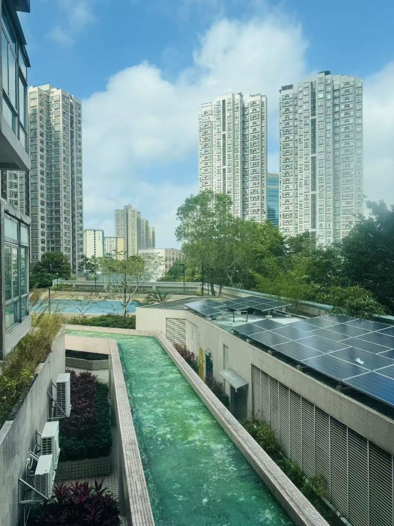 F013 Sheung Shui Centre Coliving space near MTR  - 上水 - 房间 (合租／分租) - Homates 香港