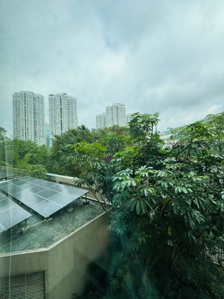 F013 Sheung Shui Centre Coliving space near MTR  - 上水 - 房间 (合租／分租) - Homates 香港