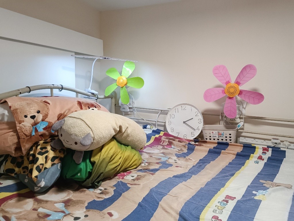 近教育大學 /工業邨: 開揚連天台單位，分享共用 - Tai Po/Tai Wo - Bedroom - Homates Hong Kong