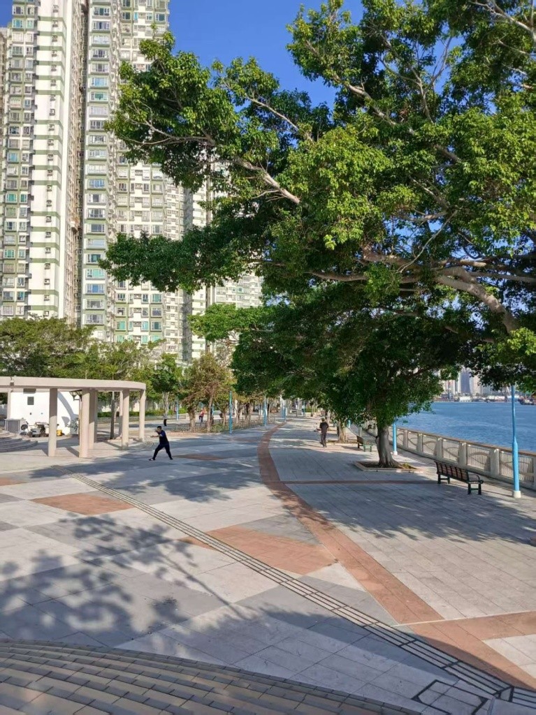 Master bedroom with ensuite bathroom, with basic furniture, high rise with sea view - 屯門 - 住宅 (整間出租) - Homates 香港