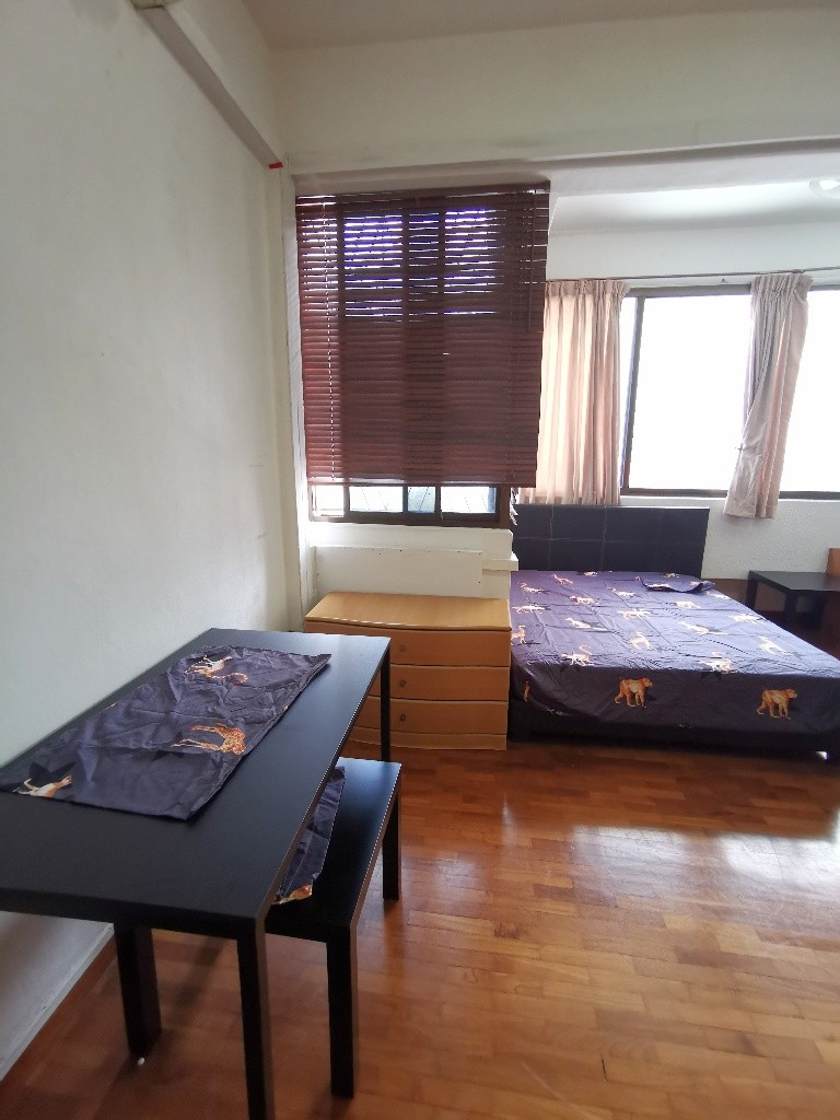 Near Balestier / Toa Payoh and Novena MRT/ Huge Window Queen Room / Available 4 Dec - Novena 诺维娜 - 分租房间 - Homates 新加坡