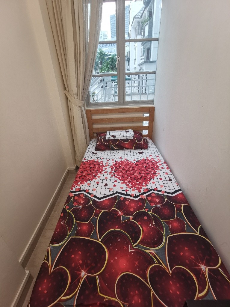 Newton MRT/Near Orchard MRT/Stevens MRT - Common Room 1 Pax, Pinetree Condo, Available 29 Nov, Property, Rentals, Room Rentals on Carousell - Stevens 史蒂芬 - 分租房间 - Homates 新加坡