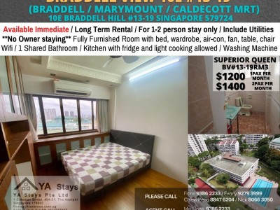 Room For Rent - Near Caldecott MRT -  BRADDELL VIEW, 10B BRADDELL HILL #11-08, SINGAPORE 579721