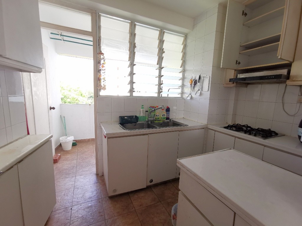 Common Room / Near Clementi, Dover &amp; Buona Vista MRT / 1 Pax Stay / Available 3 Nov / No Owner Stay - Bukit Timah 武吉知馬 - 整个住家 - Homates 新加坡