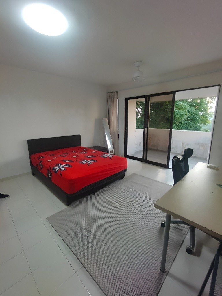 Common Room / Near Clementi, Dover &amp; Buona Vista MRT / 1 Pax Stay / Available 3 Nov / No Owner Stay - Bukit Timah 武吉知馬 - 整个住家 - Homates 新加坡