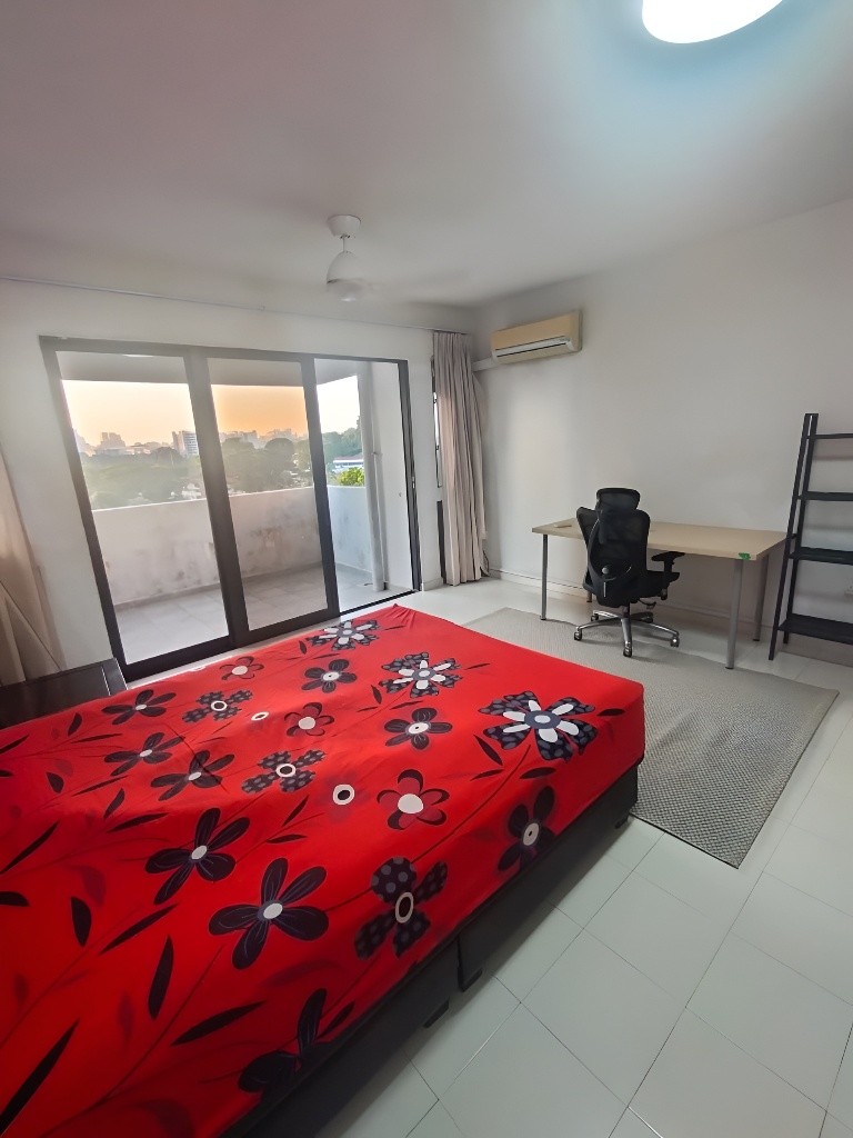 Common Room / Near Clementi, Dover &amp; Buona Vista MRT / 1 Pax Stay / Available 3 Nov / No Owner Stay - Bukit Timah 武吉知馬 - 整个住家 - Homates 新加坡