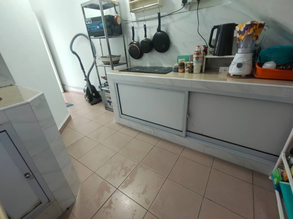 HORNE ROAD 90C HR#90CRM1 - Rochor 梧槽 - 整个住家 - Homates 新加坡