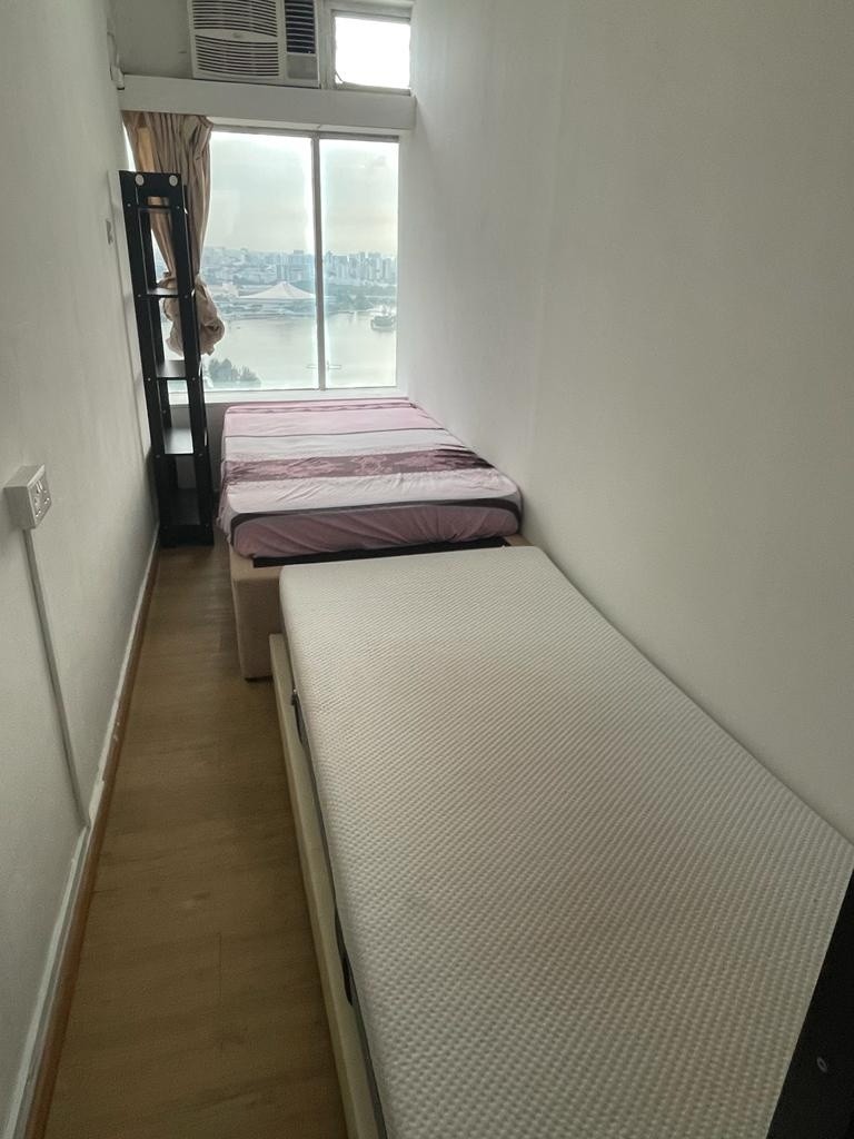 Room for rent / Farrer Park / Common room / 1-2pax stay / Available immediately - Farrer Park 花拉公園 - 分租房間 - Homates 新加坡