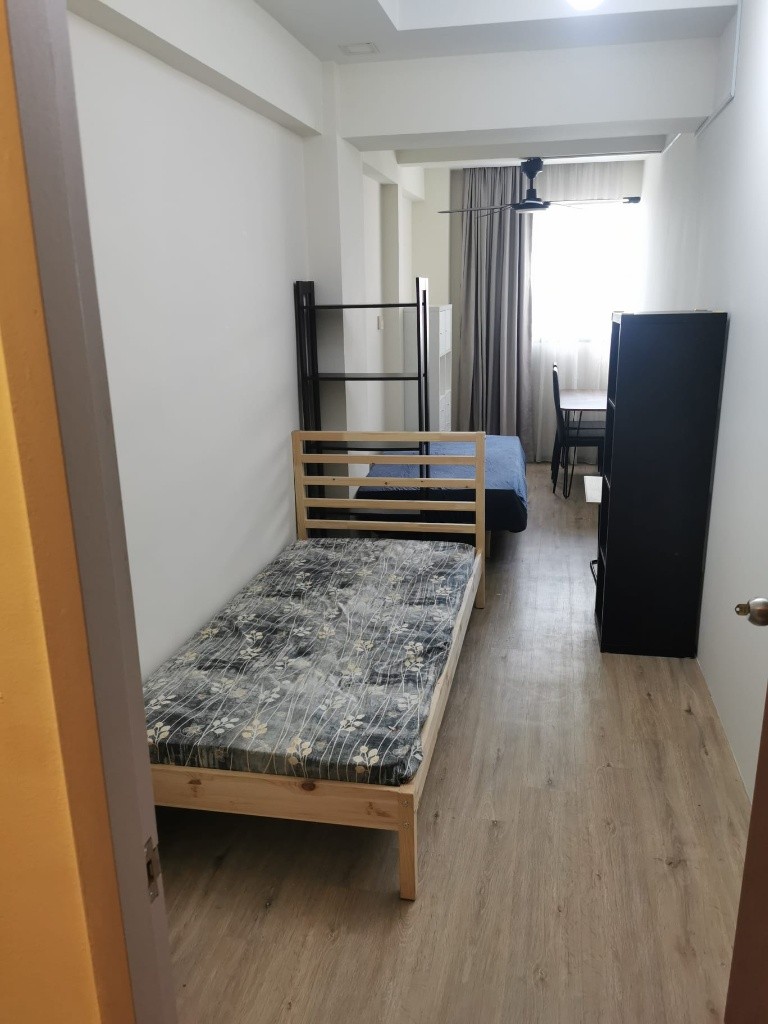 Common Room for Rent/ 547A Balestier Road, Singapore 329863/ Available Immediate - Novena 諾維娜 - 整個住家 - Homates 新加坡