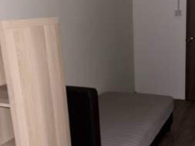 Room for rent / BALESTIER / NOVENA / Common room / 1pax stay / Available immediate - Novena 諾維娜 - 分租房間 - Homates 新加坡