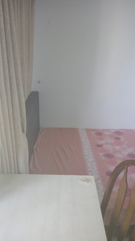 Room for rent / Braddell / Common room / 1pax stay / Available immediate - Braddell 布莱徳 - 分租房间 - Homates 新加坡