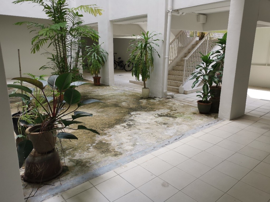 Room for rent / Braddell / Common room / 1pax stay / Available 23 Oct - Braddell 布萊徳 - 分租房間 - Homates 新加坡