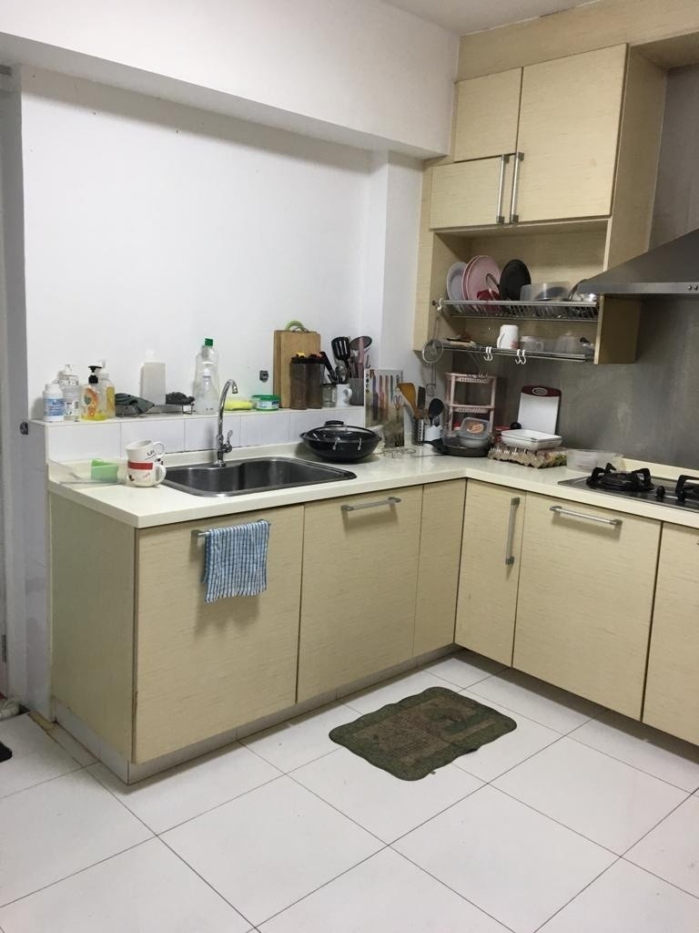 Master Room for Rent/ 1-2Pax /Braddel View/ Available 3 November - Braddell 布莱徳 - 整个住家 - Homates 新加坡